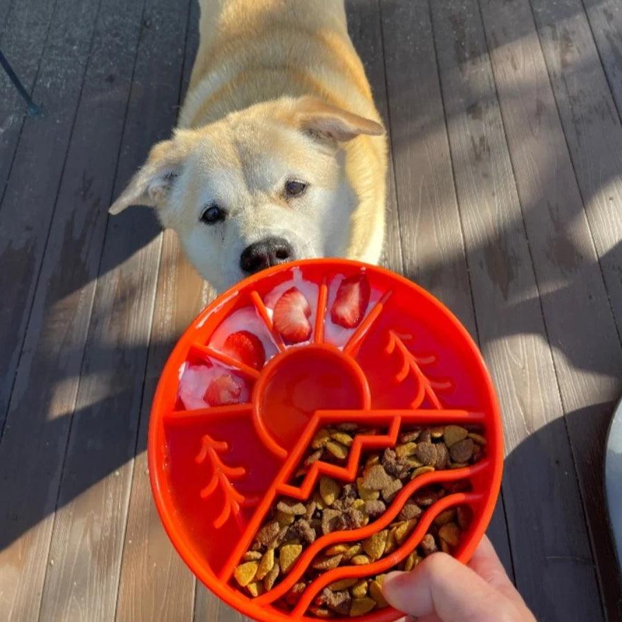 Sodapup Comedero Lento Naturaleza