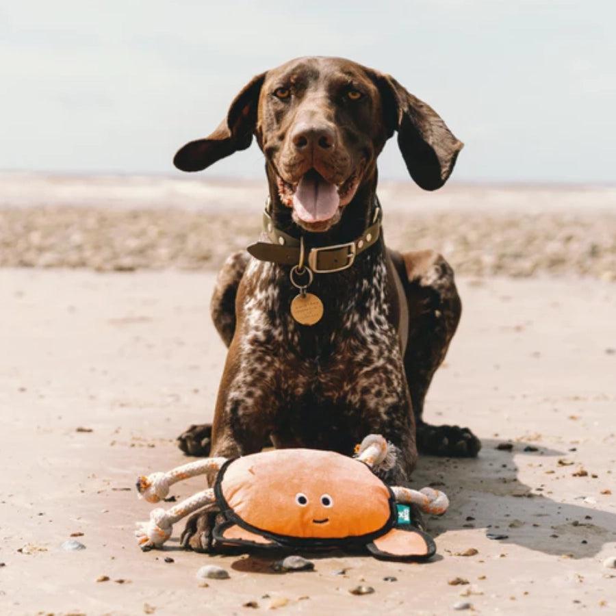 Beco Cangrejo Flotante de Peluche