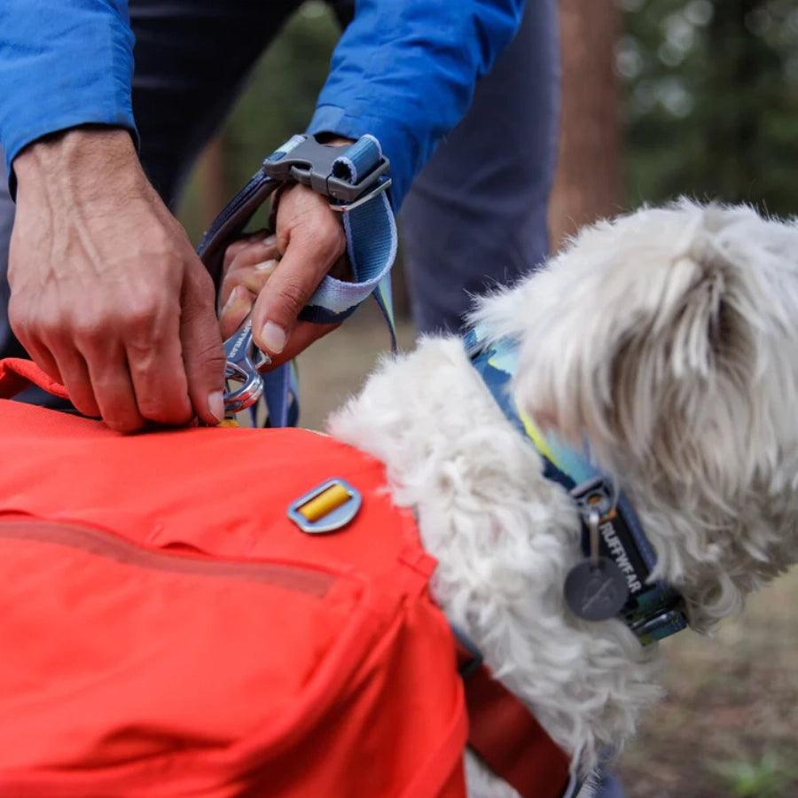 Ruffwear Collar Reflectante para perro Crag Alpine Dawn