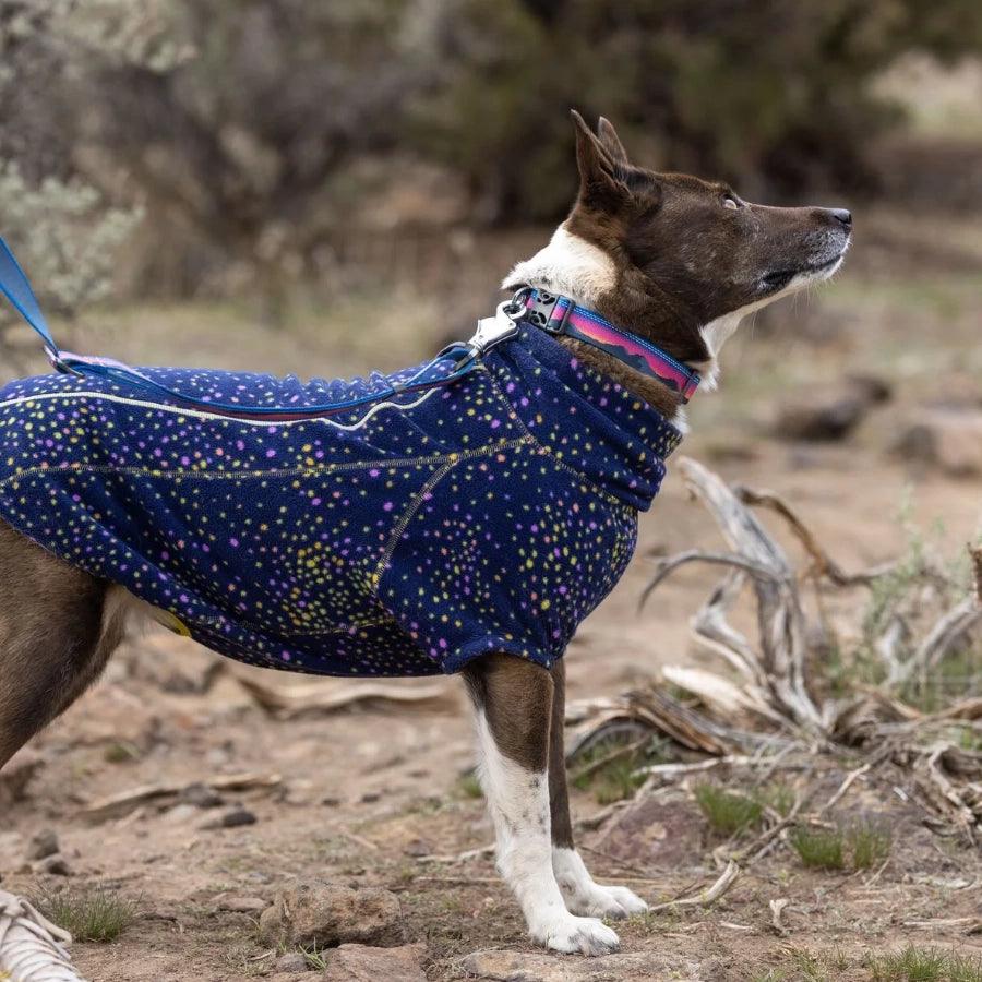 Ruffwear Collar Reflectante para perro Crag Alpine Dusk