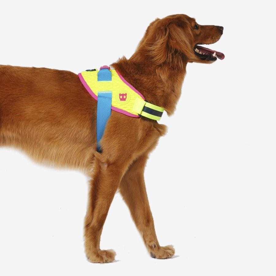 ZeeDog Arnés para Perro Un Solo Click CMYK