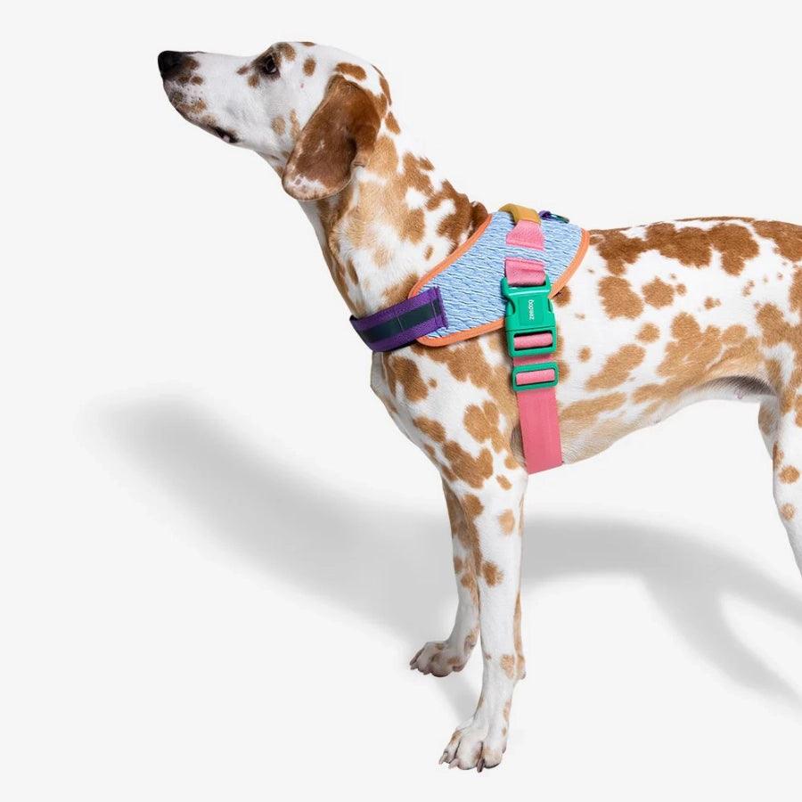 ZeeDog Arnés para Perro Un Solo Click Galaxy