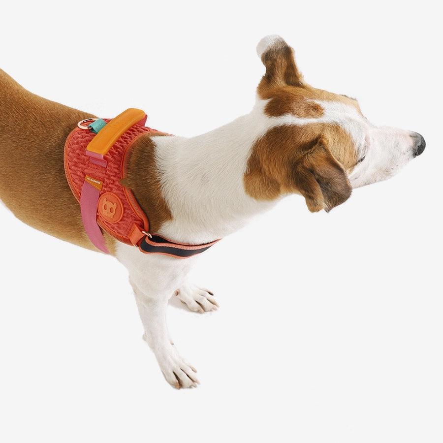 ZeeDog Arnés para Perro Un Solo Click Gazelle