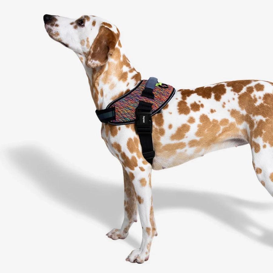 ZeeDog Arnés para Perro Un Solo Click Vortex