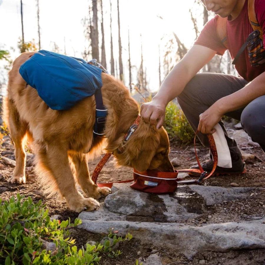 Ruffwear Mochila de Viaje para perro con arnés Front Range Daypack Blue Moon
