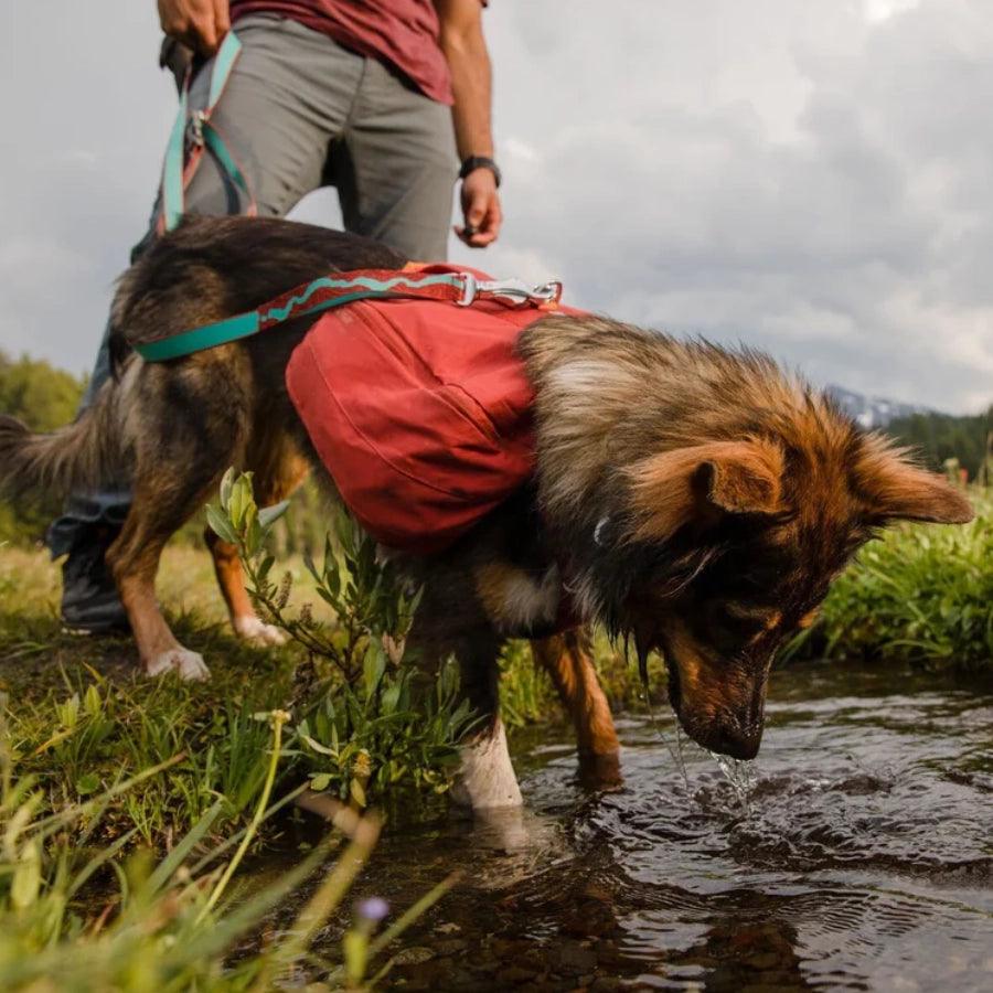 Ruffwear Mochila de Viaje para perro con arnés Front Range Daypack Red Clay