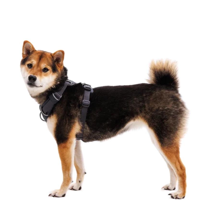 Ruffwear Arnés para perro Front Range Basalt Gray