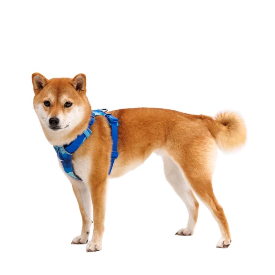 Ruffwear Arnés para perro Front Range Coastal Mountains