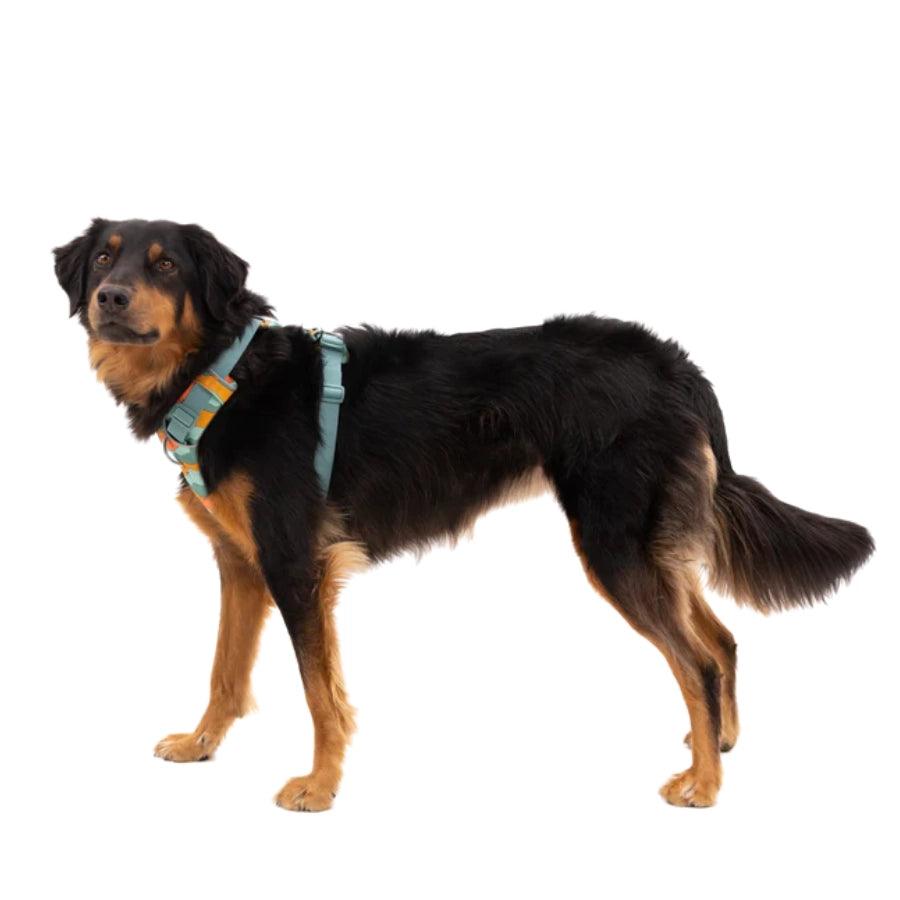 Ruffwear Arnés para perro Front Range Spring Mountains