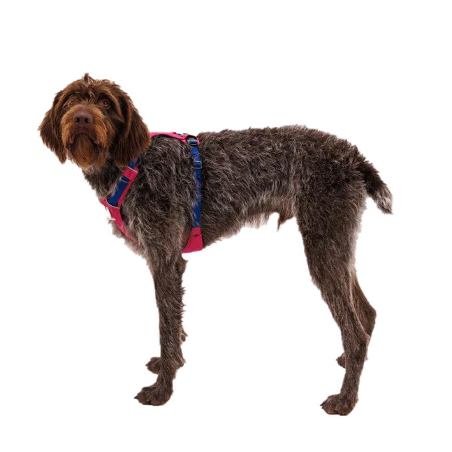 Ruffwear Arnés para perro Hi & Light Alpenglow Pink