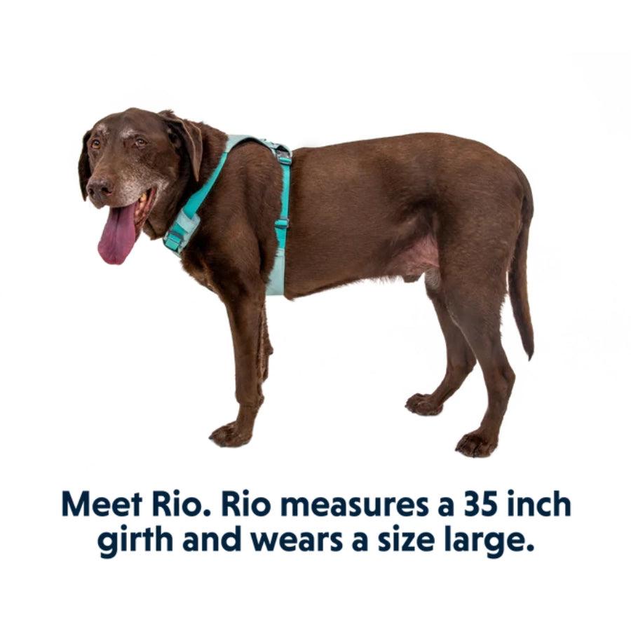 Ruffwear Arnés para perro Hi & Light Sage Green