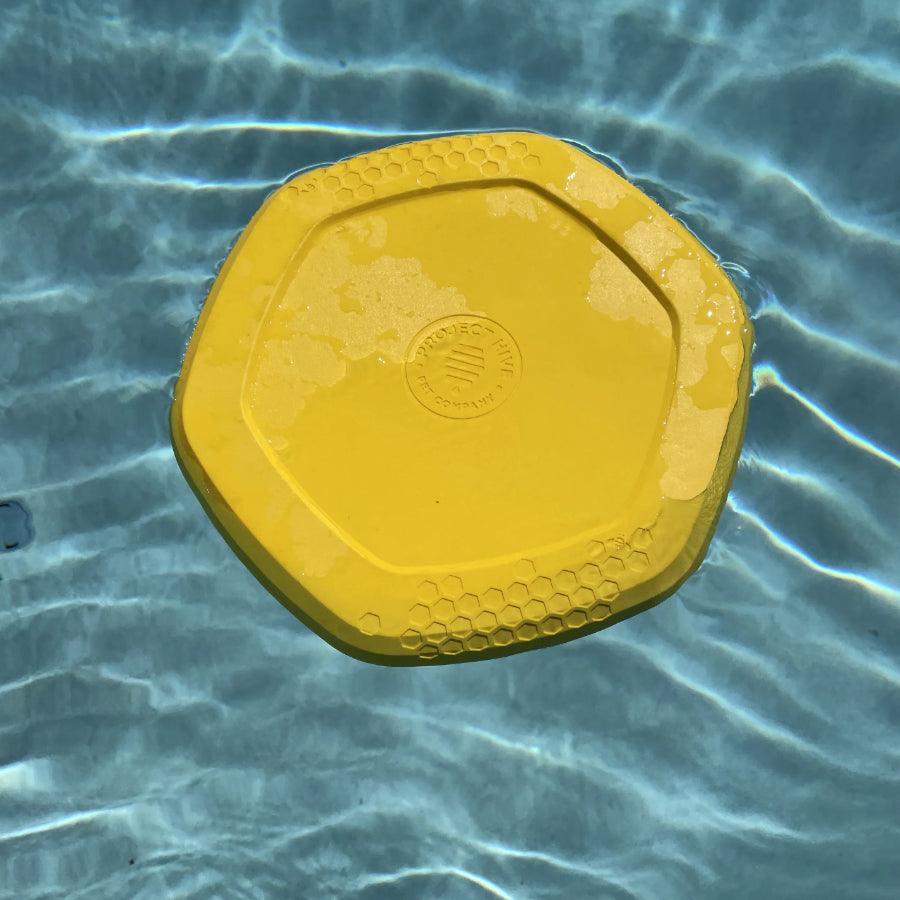 Project Hive Frisbee para perro