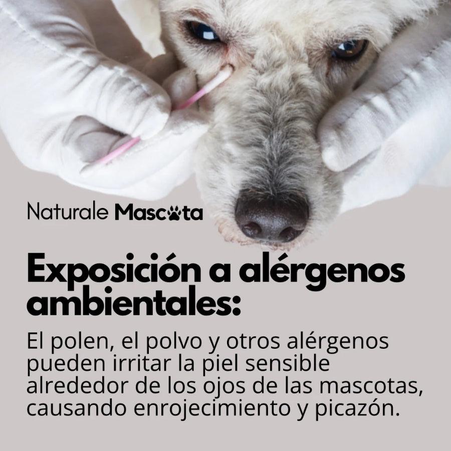 Naturale Mascota Aceite Terapia de Ozono para perro 60ml