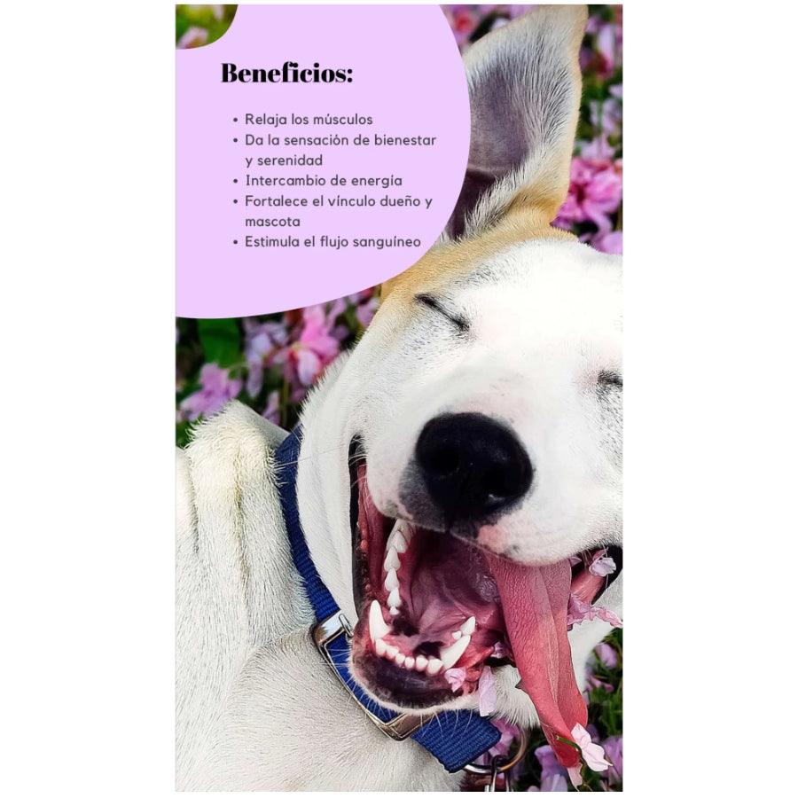 Naturale Mascota Naturalex Aceite de Aromaterapia Relajante para perro 60ml