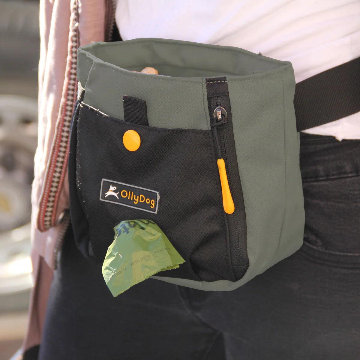 OllyDog Bolsa para Aventura Verde