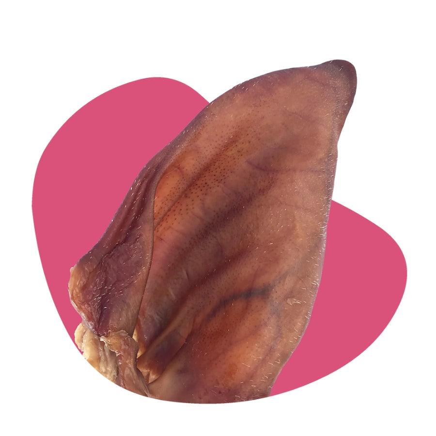 Petsnacks Masticables Deshidratados Oreja de Cerdo