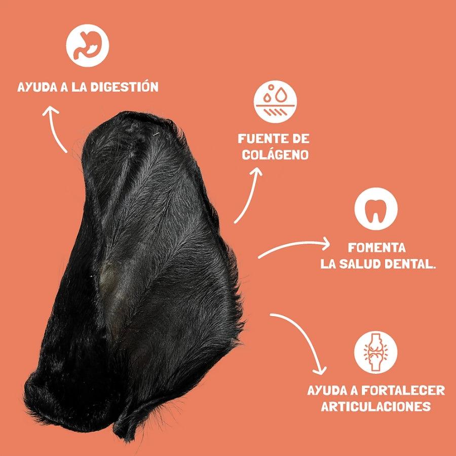 Petsnacks Masticables Deshidratados Oreja de Res