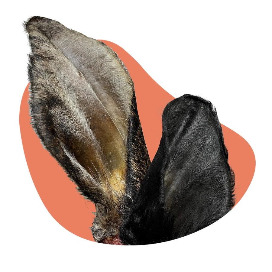 Petsnacks Masticables Deshidratados Oreja de Res