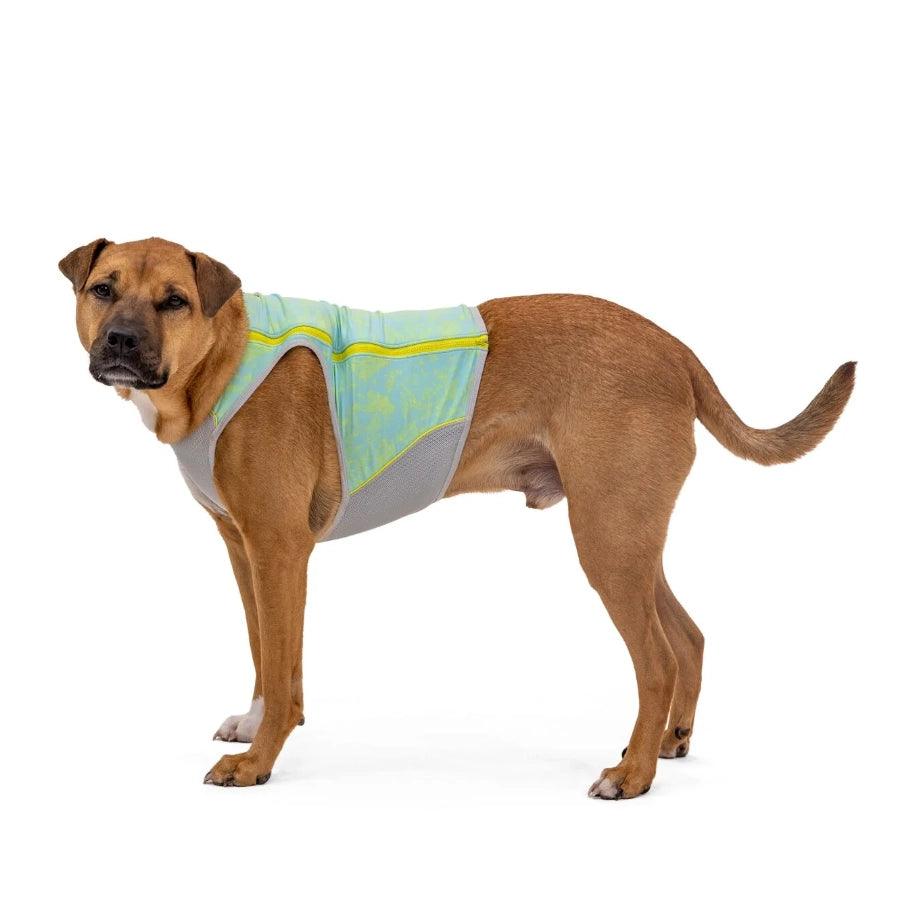 Ruffwear Chaleco de Enfriamiento para perro Blue Mist