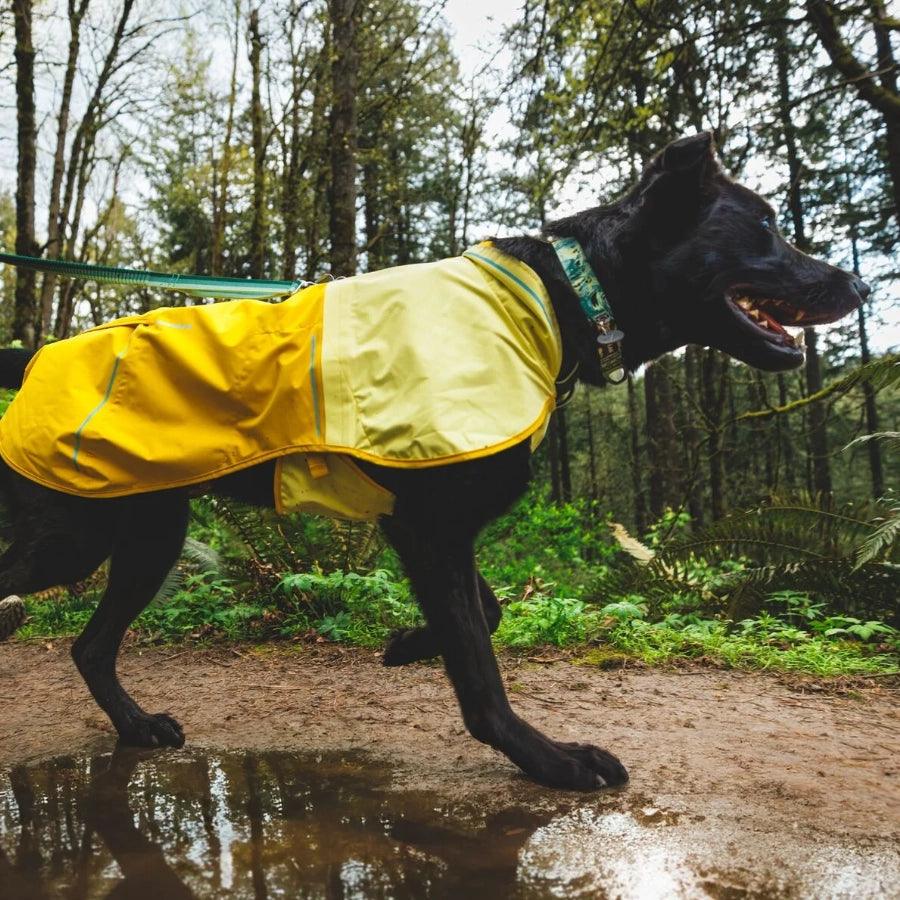 Ruffwear Collar para perro Front Range Sweeping Sage