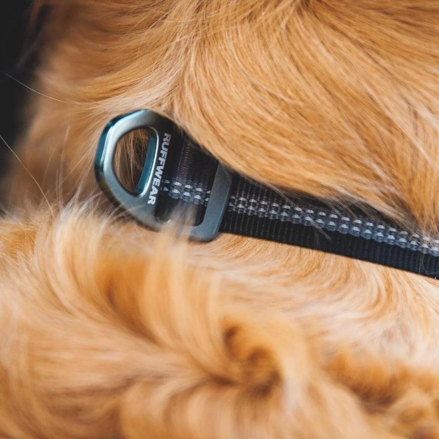 Ruffwear Collar para perro Top Rope Basalt Gray