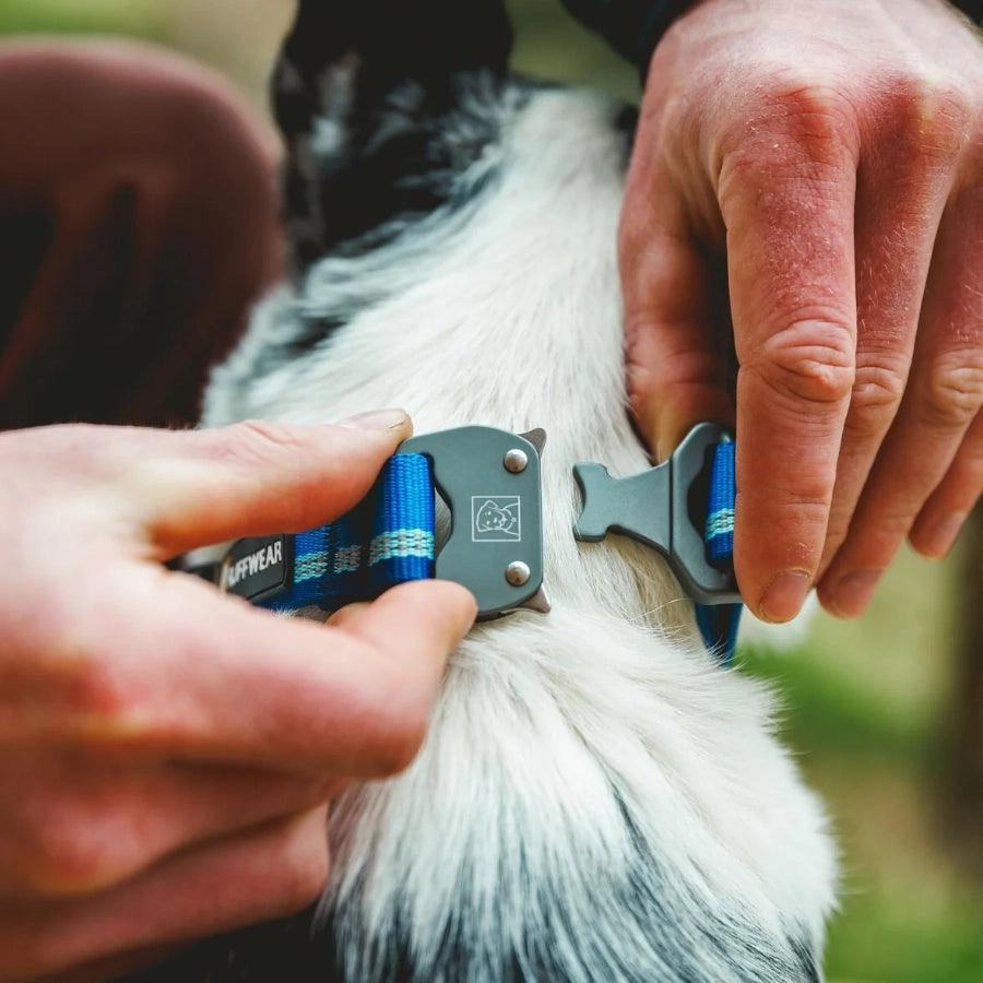 Ruffwear Collar para perro Top Rope Blue Pool
