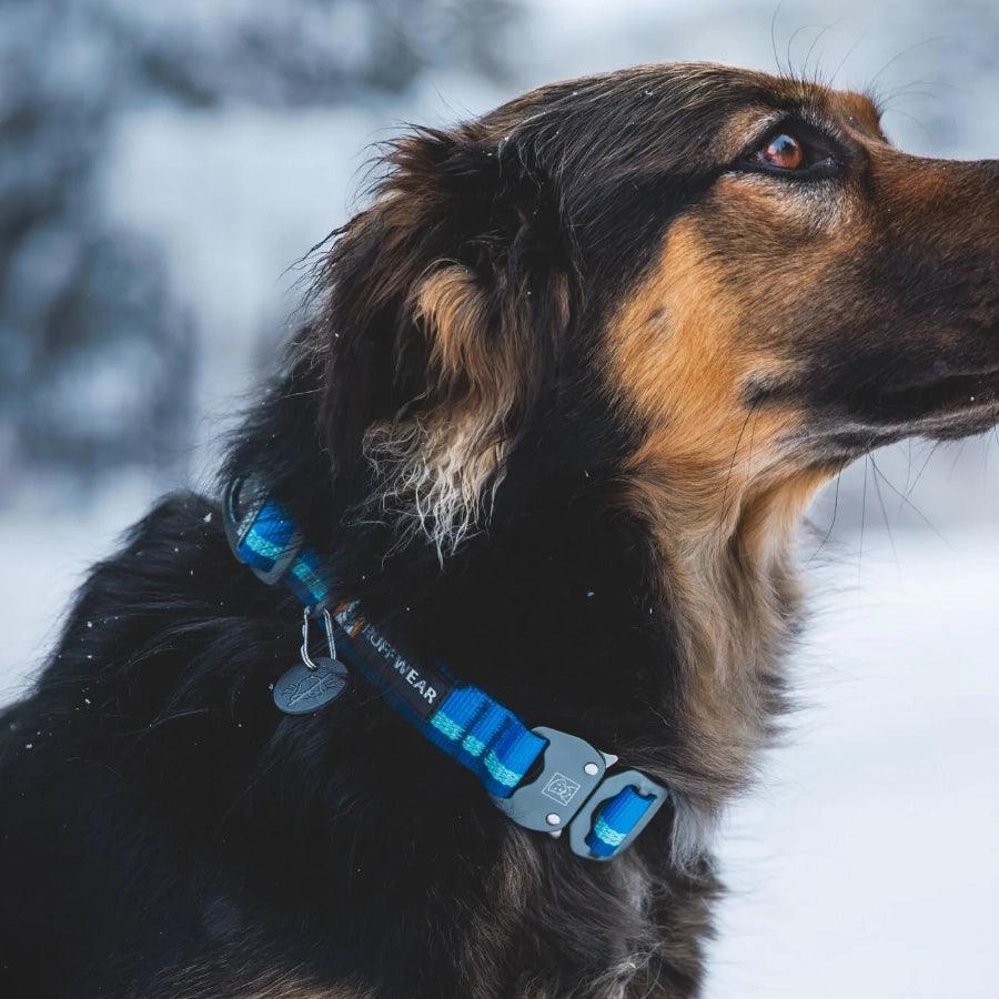 Ruffwear Collar para perro Top Rope Blue Pool