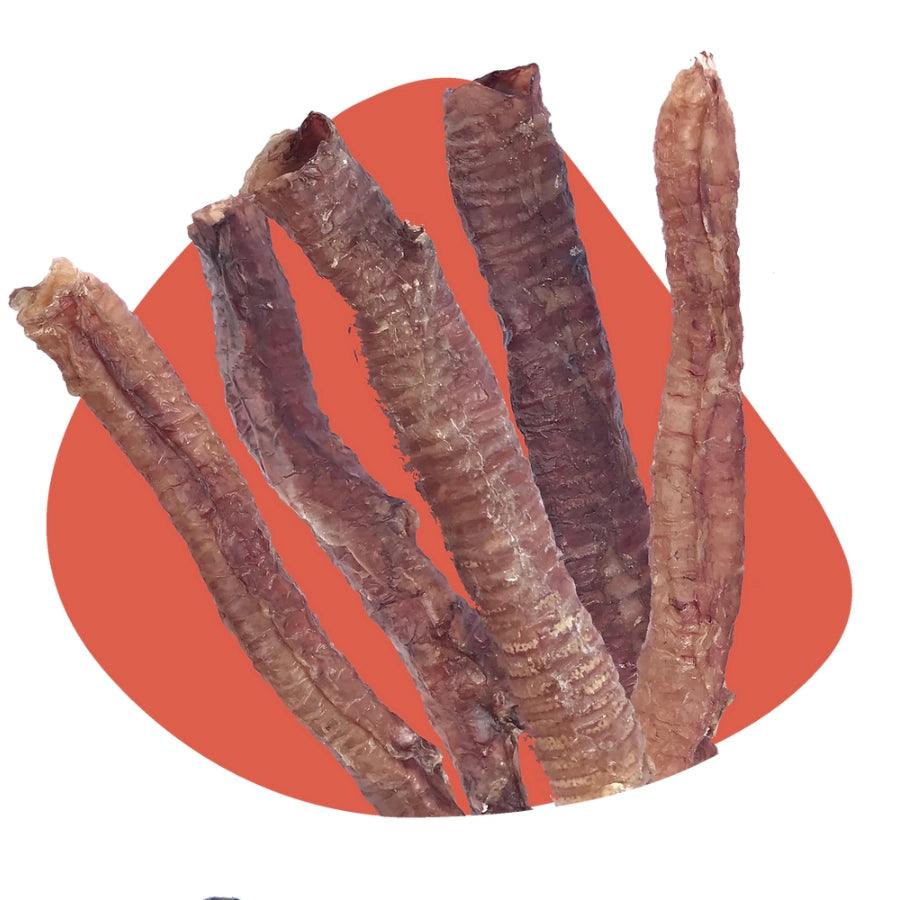 Petsnacks Masticables Deshidratados Tráquea de Cerdo
