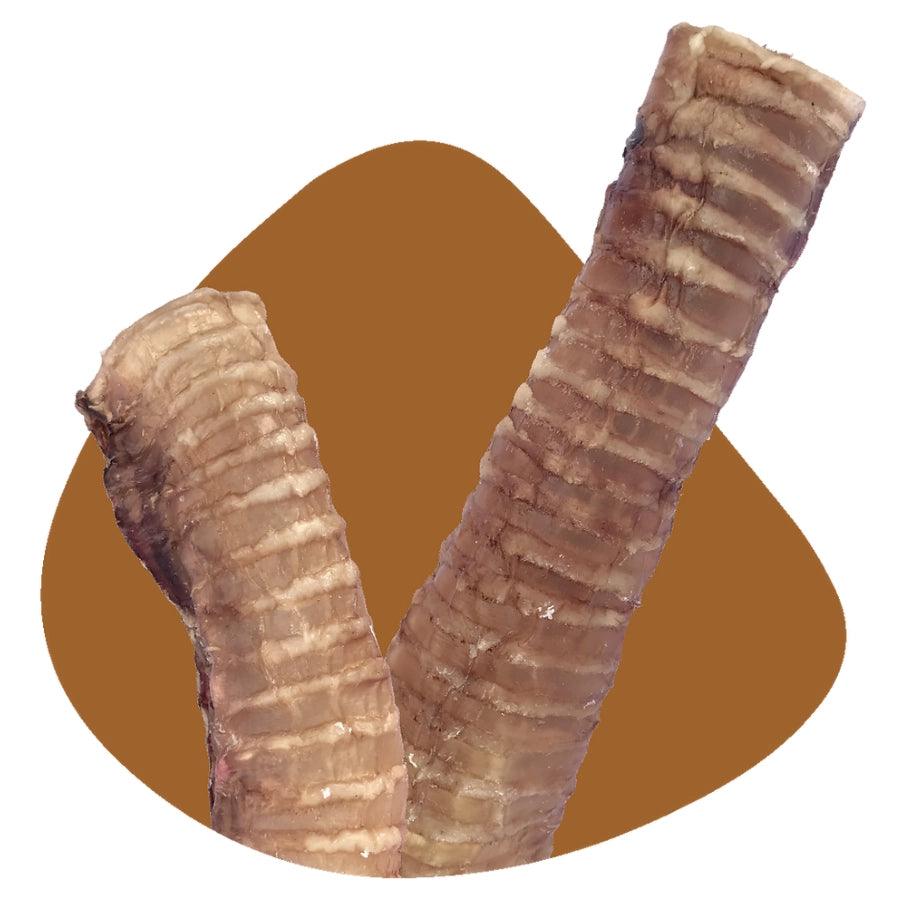 Petsnacks Masticables Deshidratados Tráquea de Res Gigante