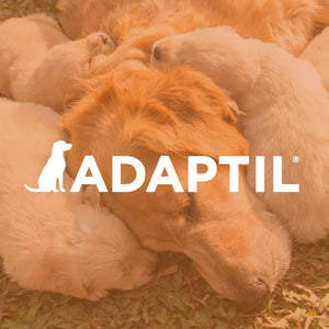 Adaptil