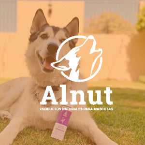 Alnut