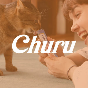 Churu