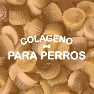 Colágeno para perros