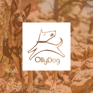 OllyDog