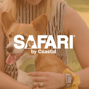 Safari