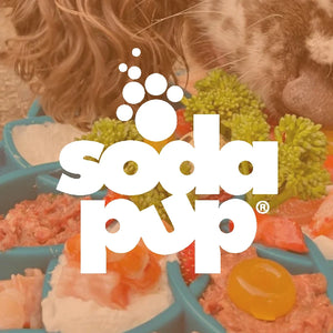 SodaPup