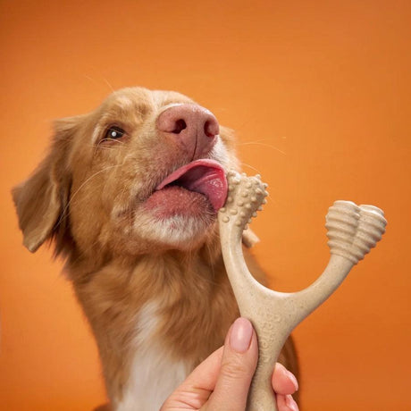 BetterBone Juguete Comestible para mordida Dura Hipoalergénico