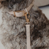 Dexypaws Collar Contra Agua Beige