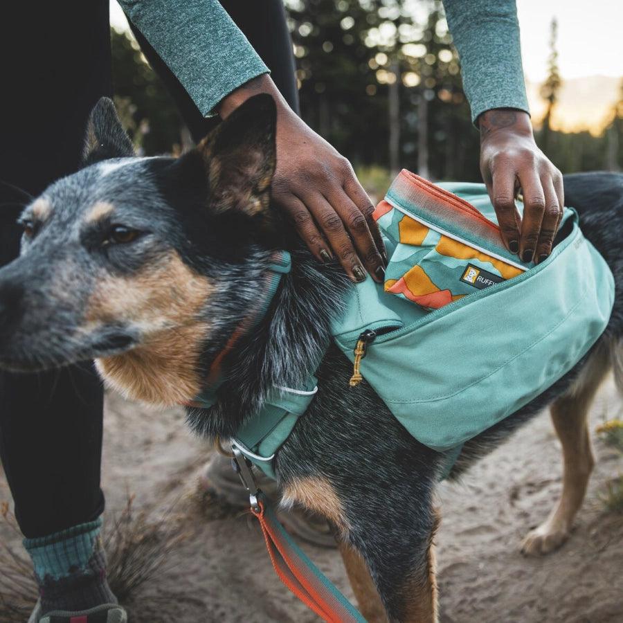Perro Ruffwear Front Ruffwear Mochila De Viaje Para Perro Con