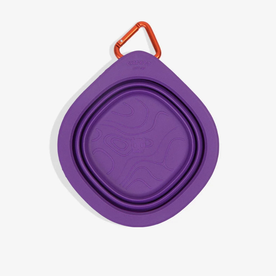 ZeeDog Plato Portátil Morado