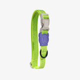 ZeeDog Collar para Perro Reflectante Lima