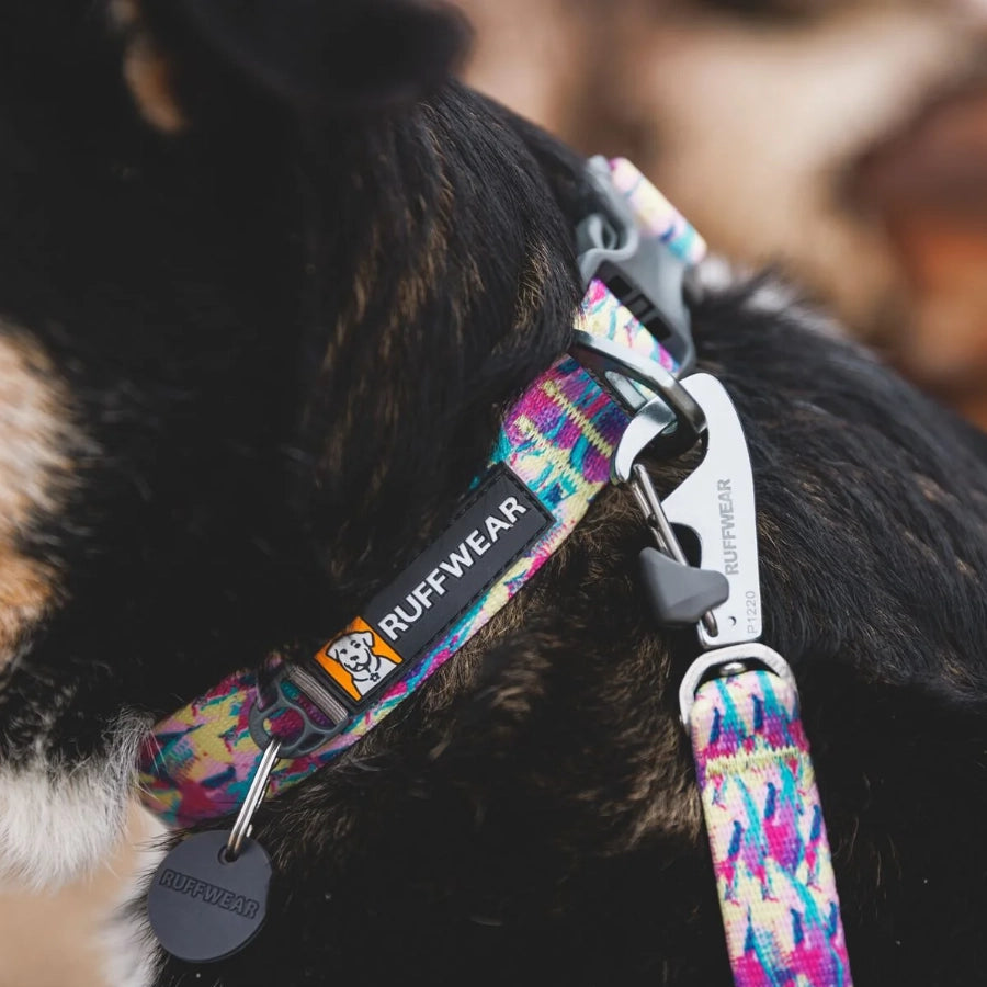 Ruffwear Collar para perro Front Range Reef Fish