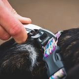 Ruffwear Collar para perro Front Range Reef Fish