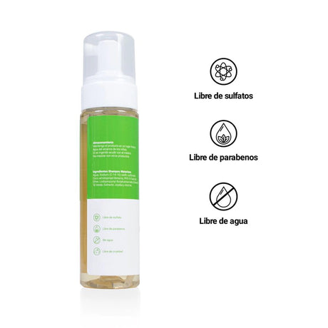 Alnut Shampoo en Seco Hipoalergénico Té Verde y Jojóba 230ml