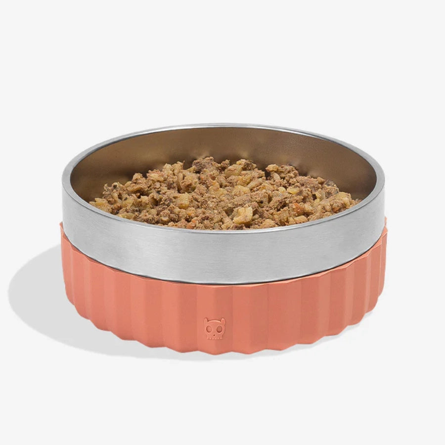 ZeeDog Plato de Acero Inoxidable para Perro Naranja