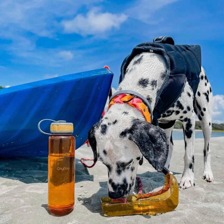 OllyDog Botella Para Agua Portátil Naranja