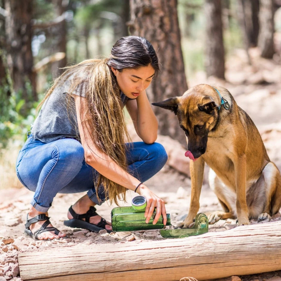 OllyDog Botella Para Agua Portátil Verde