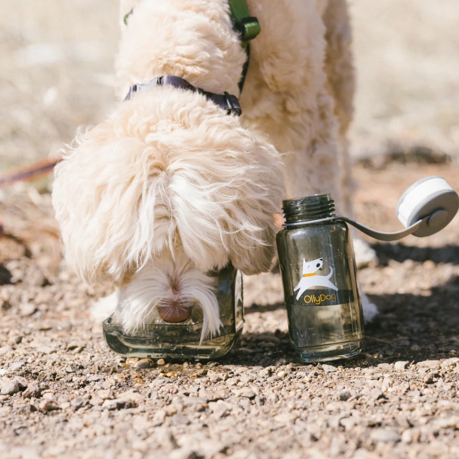 OllyDog Botella Para Agua Portátil Gris